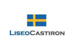 Производитель Liseo Castiron